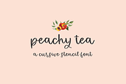 Peachy Tea Stencil Font, a Handwritten Font by Beck McCormick (Thumbnail 1 of 10)