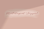 Mood Board script font, a Serif Font by Anna Zakharchenko (Thumbnail 18 of 23)
