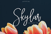 Skylar | Script Font, a Script Font by Artstudio (Thumbnail 1 of 10)