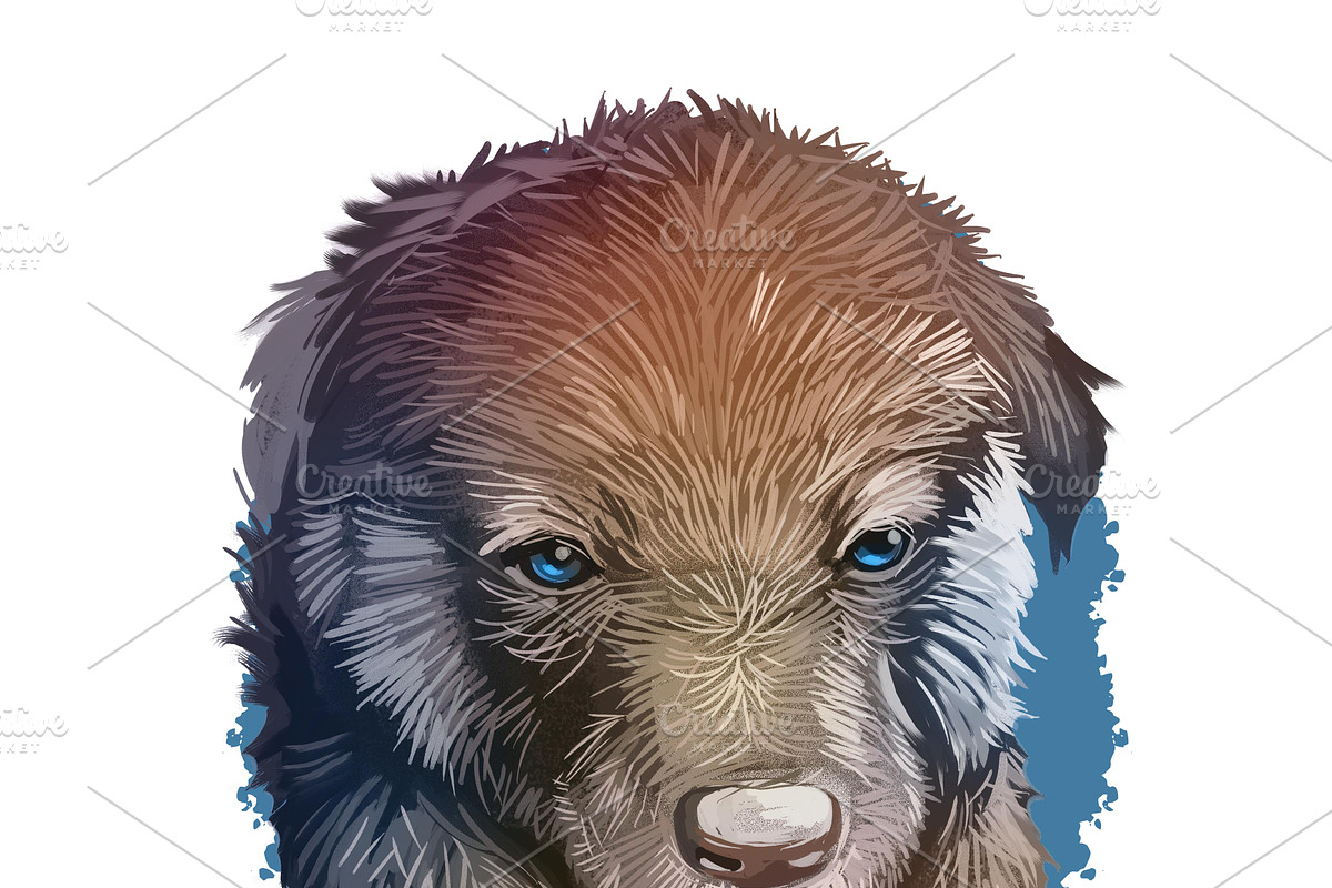 Puppies Dog Breeds Big Bundle 135Pcs, an Animal Illustration by Dneprstock (Photo 55 of 68)