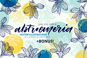 Hand drawn alstroemeria vector set, a Work Illustration by ekzi.letters (Thumbnail 1 of 5)