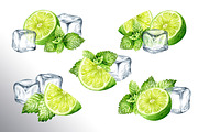 Mojito. Hand drawn watercolor set, a Food Illustration by Daria Ustiugova (Thumbnail 3 of 11)