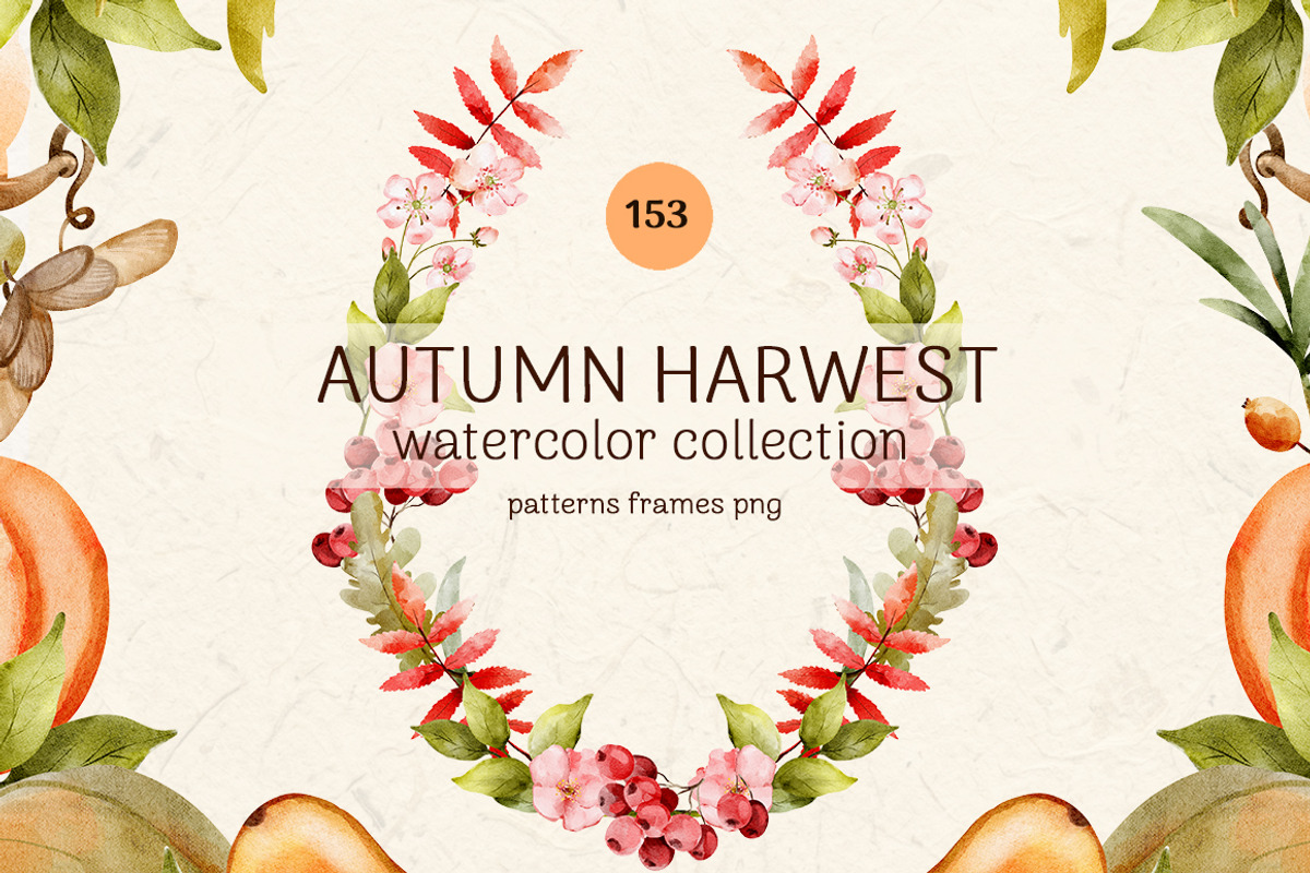 Autumn Harvest Watercolor Collection, a Seasonal Illustration by Pattern + watercolor (Photo 1 of 12)