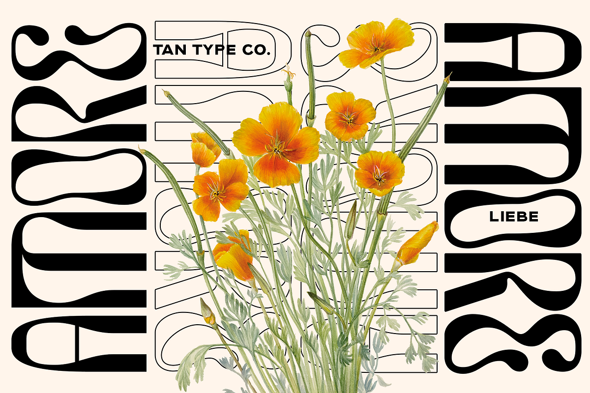 TAN - LIEBE, a Font by TanType (Photo 8 of 12)