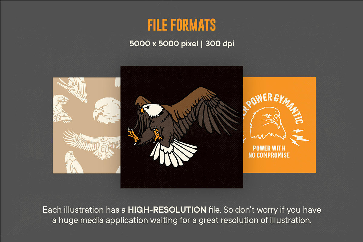 Vintage Eagle Illustrations, an Animal Illustration by ARQAM Studio (Photo 4 of 9)