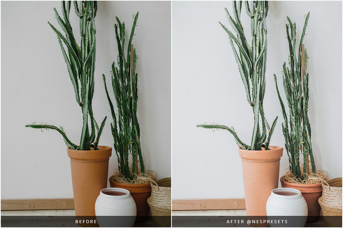 ORGANIC CERAMIC LIGHTROOM PRESETS, a Preset Add-On by Nes Design Co (Photo 7 of 10)