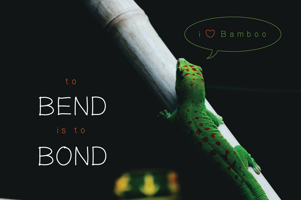Bamboostick a Handwritten Font, a Font by Maximum Designstudio (Photo 5 of 5)