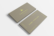 Elegant Logo and Branding Kit, a Branding & Logo Template by Viaduc (Thumbnail 3 of 3)