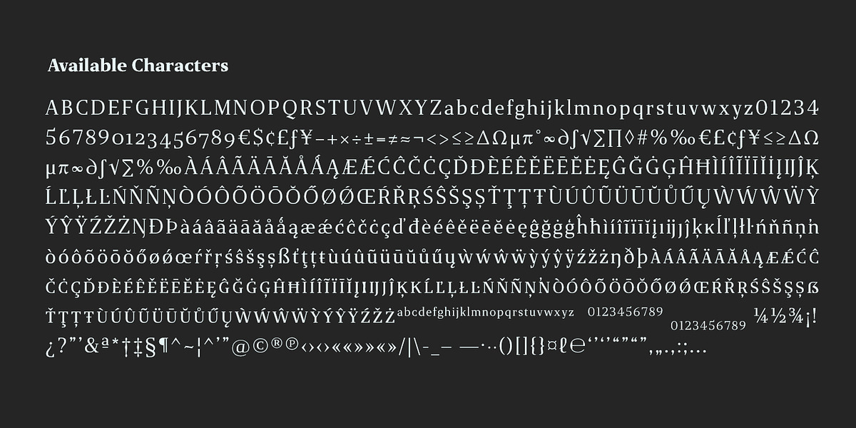 Gazeta, a Serif Font by Vanarchiv (Photo 5 of 7)