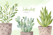 Watercolor indoor plants., an Illustration by BrushArtDesigns (Thumbnail 5 of 5)