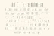 Albercio Ascii, a Sans Serif Font by Craft Supply Co. (Thumbnail 8 of 8)