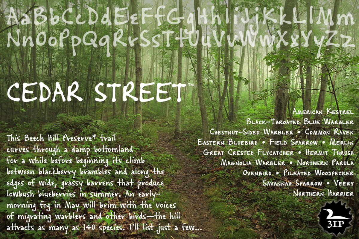Cedar Street, a font fit for a notepad