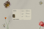 MIA I Brand Strategy, a Presentation Template by Studio Brand (Thumbnail 3 of 8)