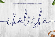 Chalisha Modern Calligraphy, a Script Font by Teweka (Thumbnail 9 of 12)