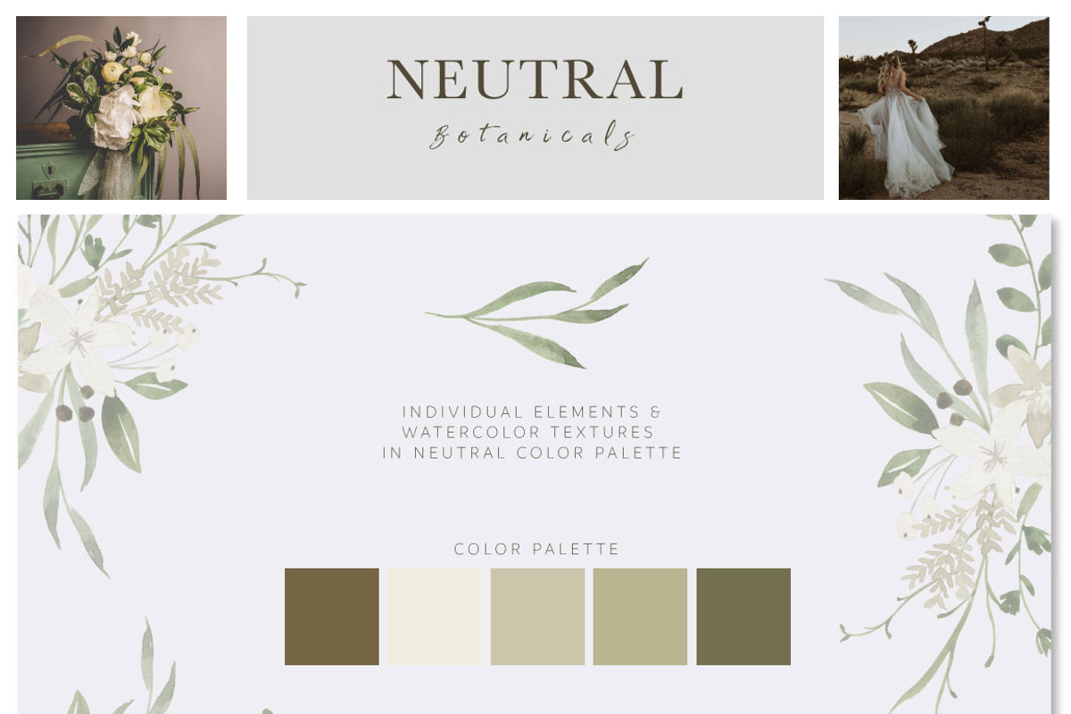 Neutral Botanicals Florals & Leaves, a Work Illustration by Momo Studio (Photo 14 of 16)