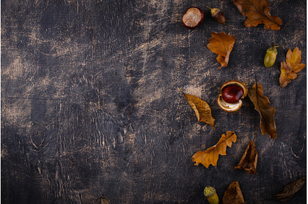 Autumn background with dry leaves., a Nature Photo by Yulia Furman