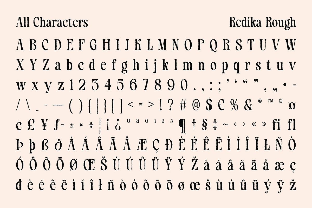 Redika Rough, a Serif Font by Craft Supply Co. (Photo 8 of 8)