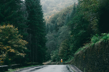 Road in the deep forest