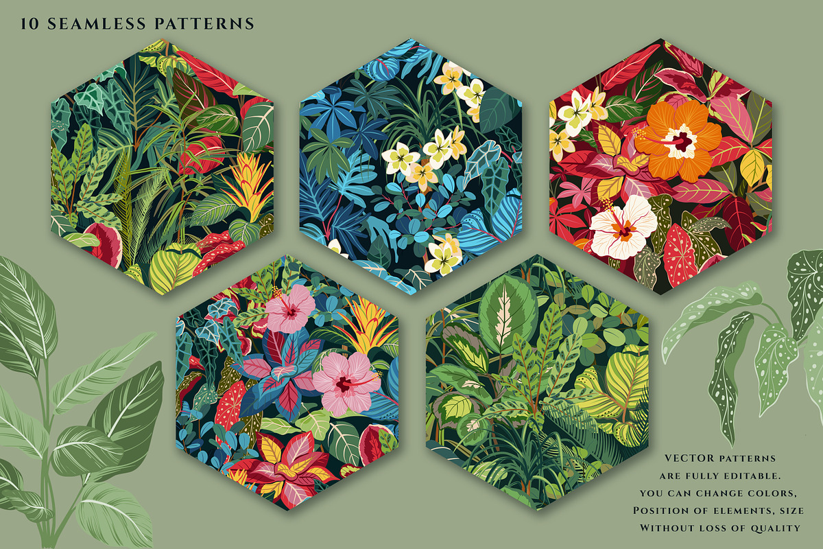 Tropical Plants & Animals, a Pattern Graphic by Molly art (Photo 6 of 14)