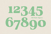Analogue - Humanist Retro Serif, a Serif Font by Harmonais Visual (Thumbnail 9 of 29)