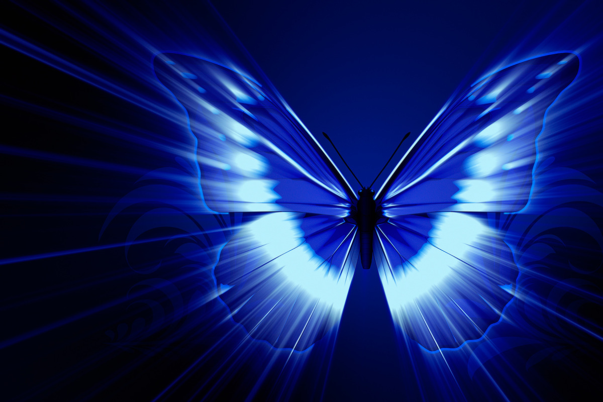 Butterfly preview 2