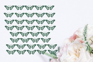 Butterfly Monogram