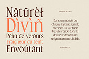 CS Chisa – Elegant Font, a Serif Font by Craft Supply Co. (Thumbnail 6 of 8)