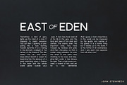 Phoenix | A Multi-Weight Sans, a Sans Serif Font by Jen Wagner Co (Thumbnail 9 of 13)