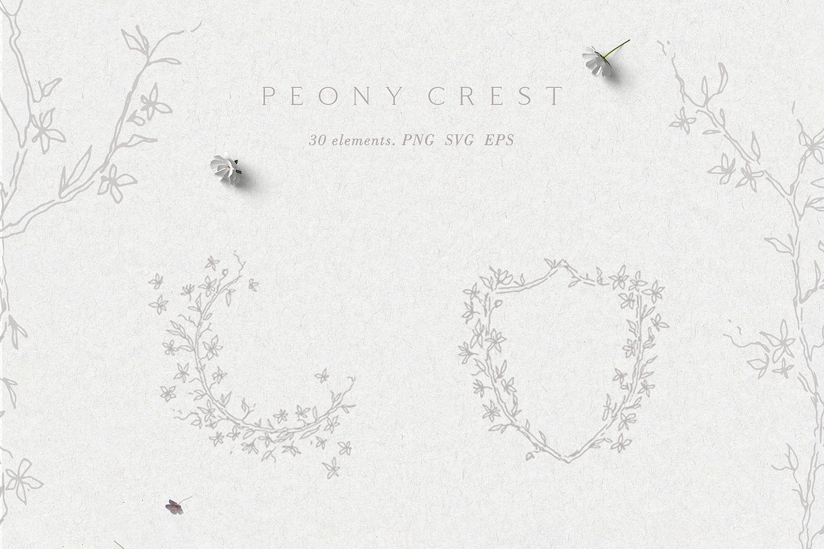 Flower Wreath, Botanical crest, an Illustration by Summer Nightingale Art (Photo 5 of 8)