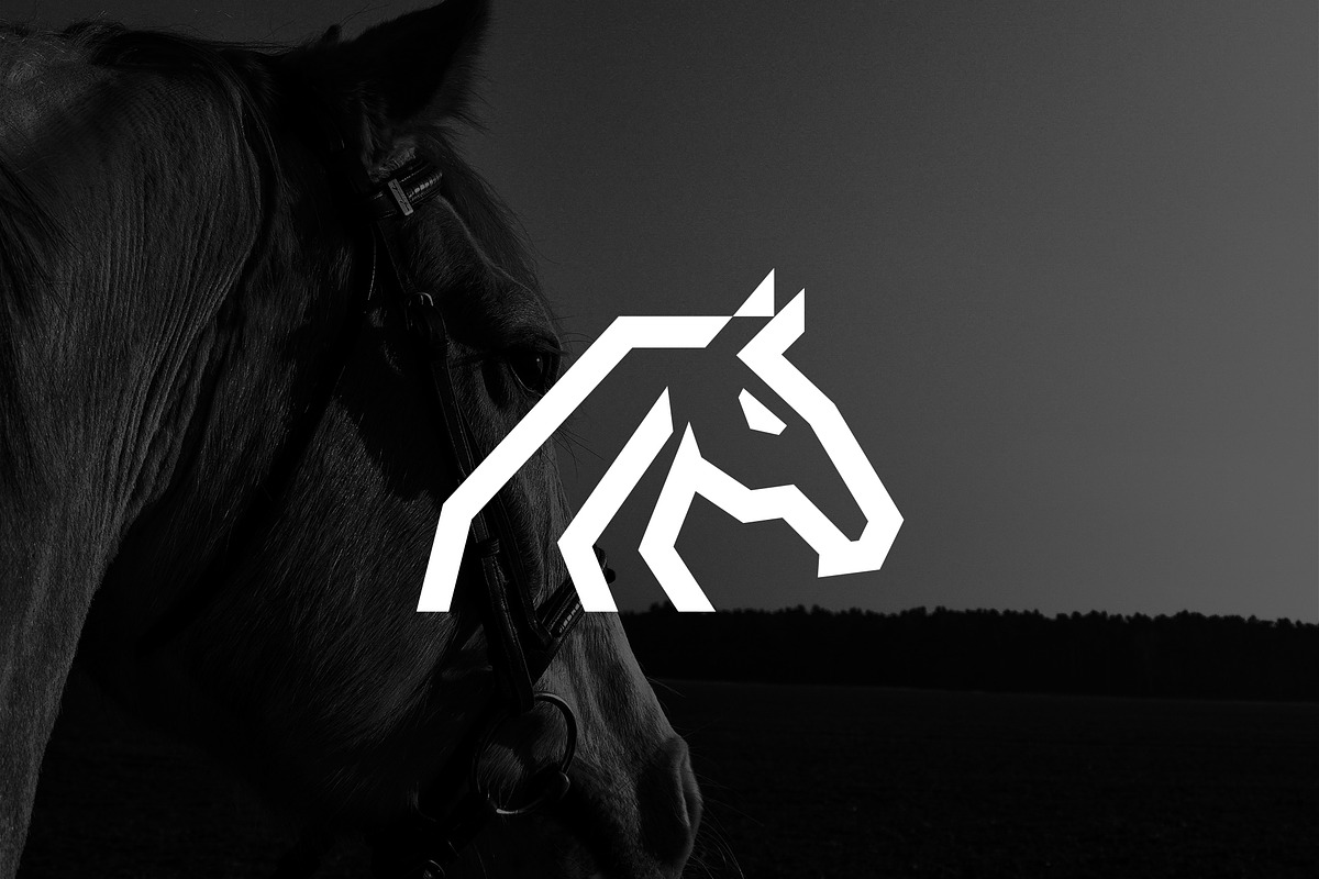 Minimalist Luxury Horse Logo, a Branding & Logo Template by Luxury Logos (Photo 2 of 4)