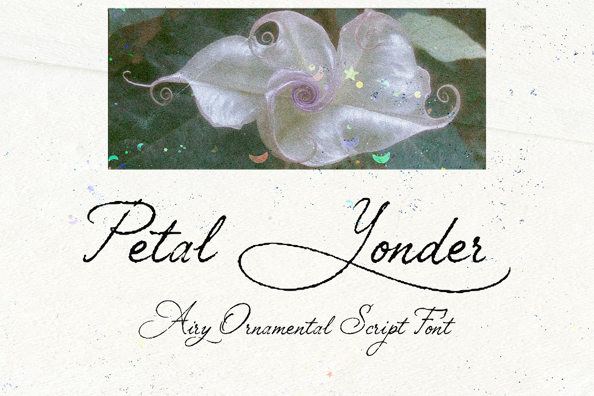Petal Yonder: Airy Script Font, a Script Font by Mneme (Photo 7 of 9)