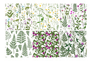 Wild herbs. Wildflowers pattern, a Pattern Graphic by irina.vaneeva (Thumbnail 5 of 6)
