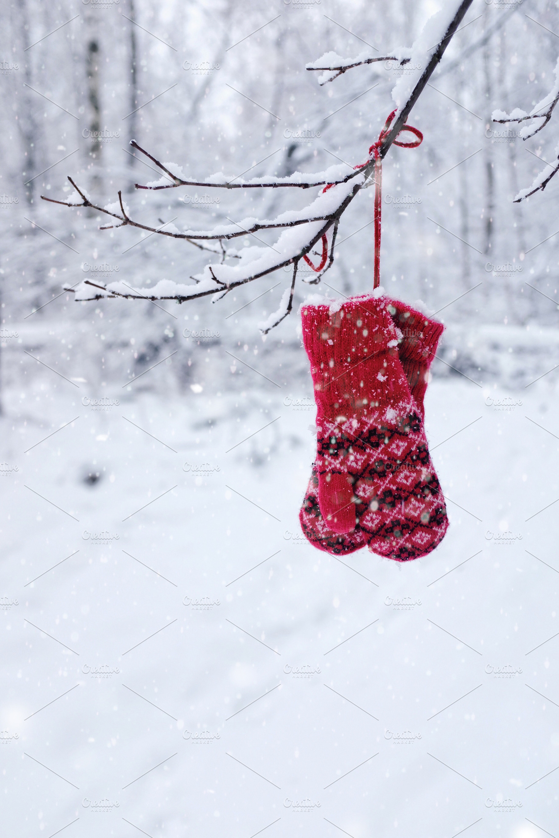 Christmas decoration with red mitten, a Holiday Photo by so_lizaveta