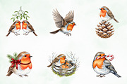 Christmas Robin Bird PNG Clipart, an Illustration by Creative Art (Thumbnail 4 of 10)
