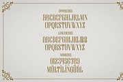 Blossom - Modern Serif Font, a Serif Font by Luna Shop (Thumbnail 2 of 8)