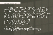 Bellina - Handwritten Font, a Handwritten Font by Alpaprana (Thumbnail 8 of 10)