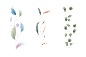Delicate watercolor leaves, an Object Illustration by okskukuruza