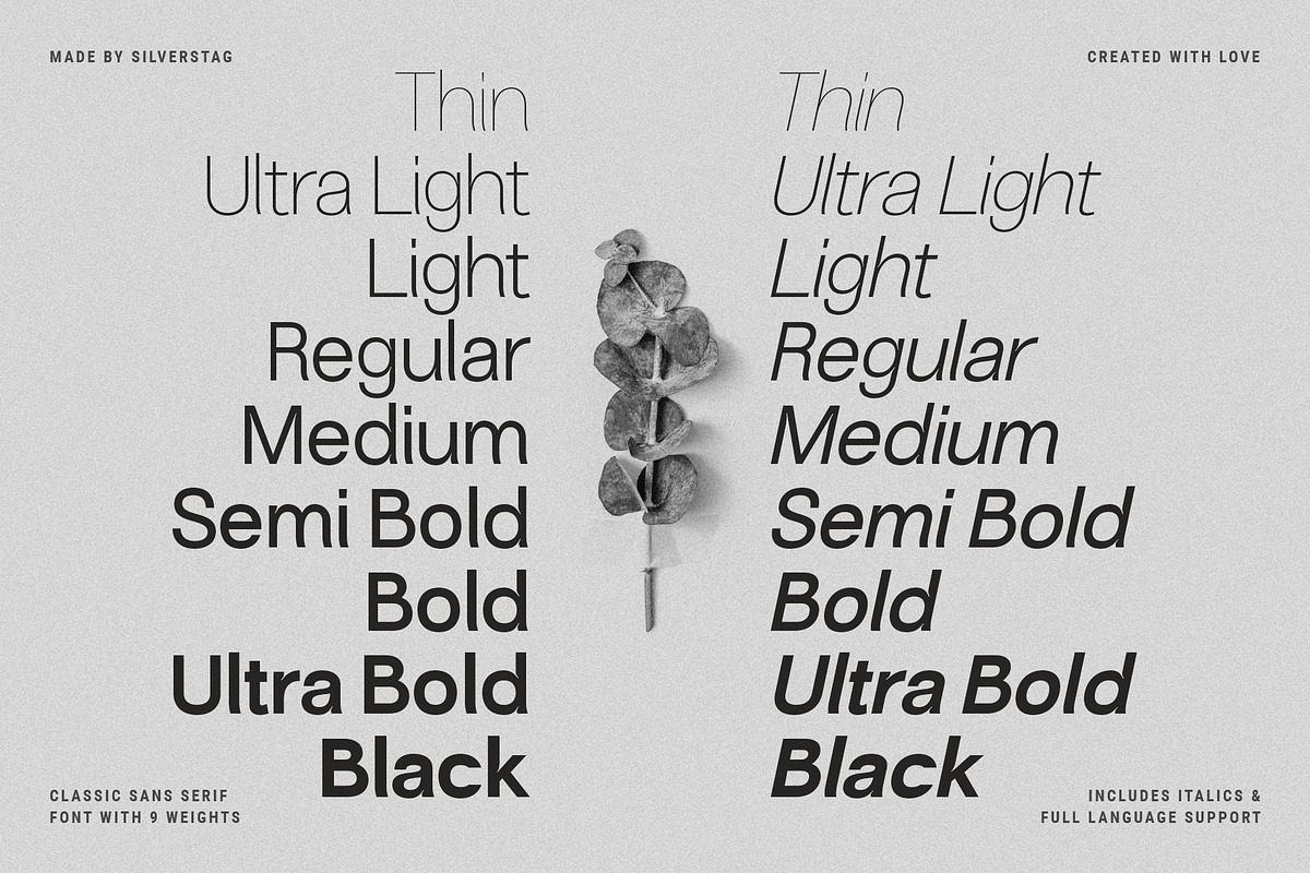 Silver Archer - An 18-Font Chic Sans, a Sans Serif Font by SilverStag Type Foundry (Photo 8 of 14)