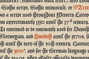 Polish Blackletter Schwabacher font, a Blackletter Font by kaer_shop (Thumbnail 8 of 12)