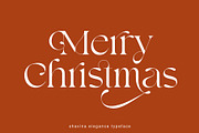 Shavina Elegance, a Serif Font by INKSUN™ (Thumbnail 7 of 12)