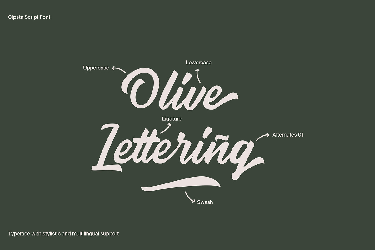 Cipsta Script Font, a Script Font by Ryan Rivaldo Vierra (Photo 3 of 10)