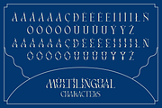 Vageli - Unique Font Duo, a Serif Font by Valentino Vergan (Thumbnail 11 of 12)
