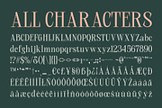 CS Alessia – Elegant Font, a Serif Font by Craft Supply Co. (Thumbnail 8 of 8)