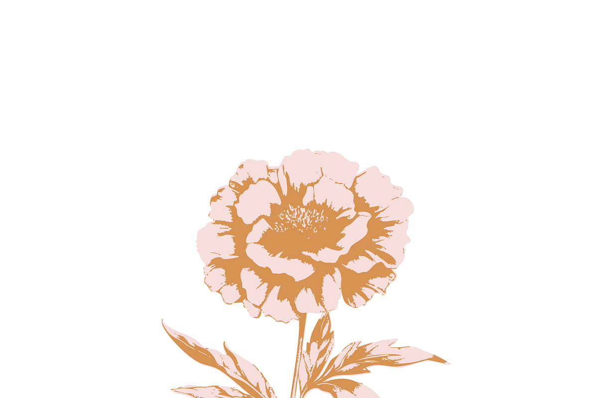 Flower clipart retro cottagecore set, an Object Graphic by Anna Sokol (Photo 7 of 10)