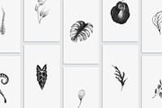 50 Instagram Story Highlight Icons, a Social Media Template by Amit Debnath (Thumbnail 4 of 4)