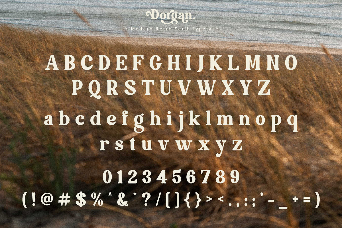 Dorgan, a Serif Font by Flawless And Co (Photo 6 of 12)