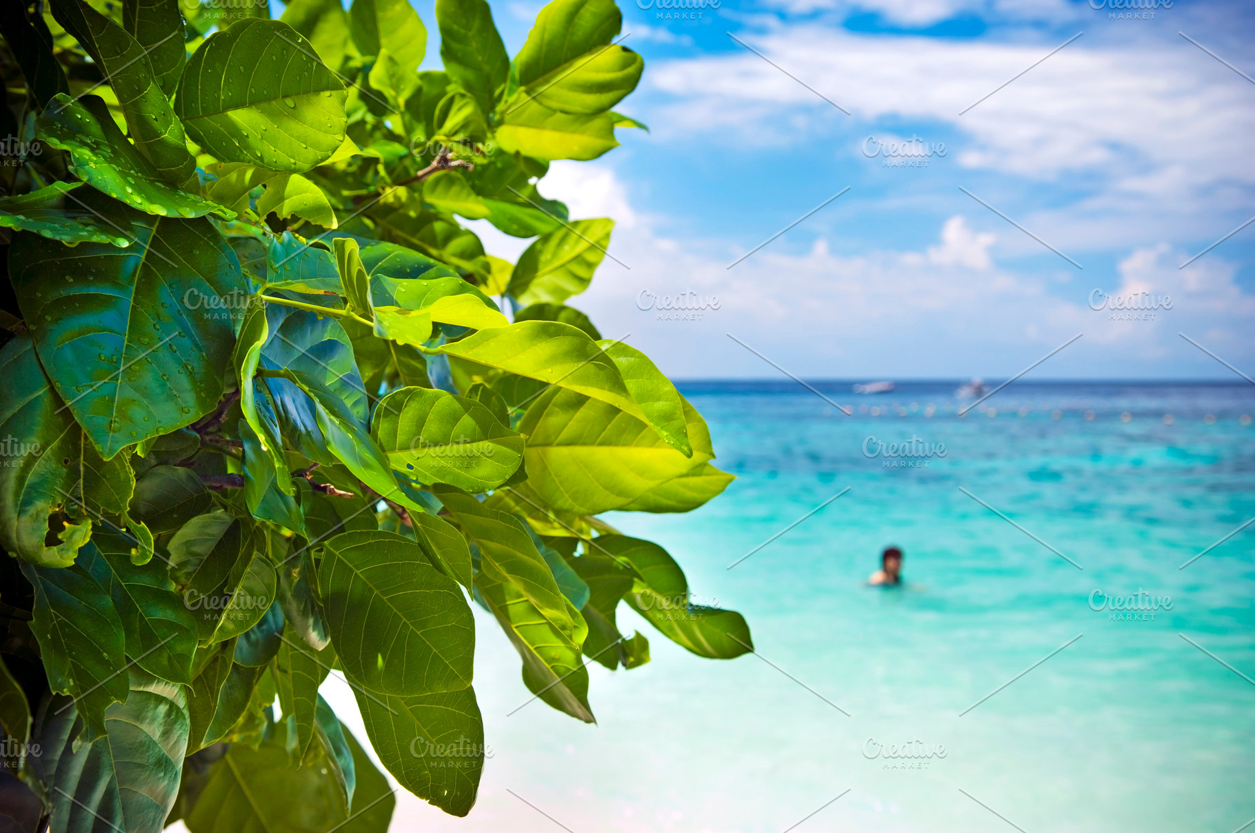 Leaves and Beach, a Nature Photo by THP Creative
