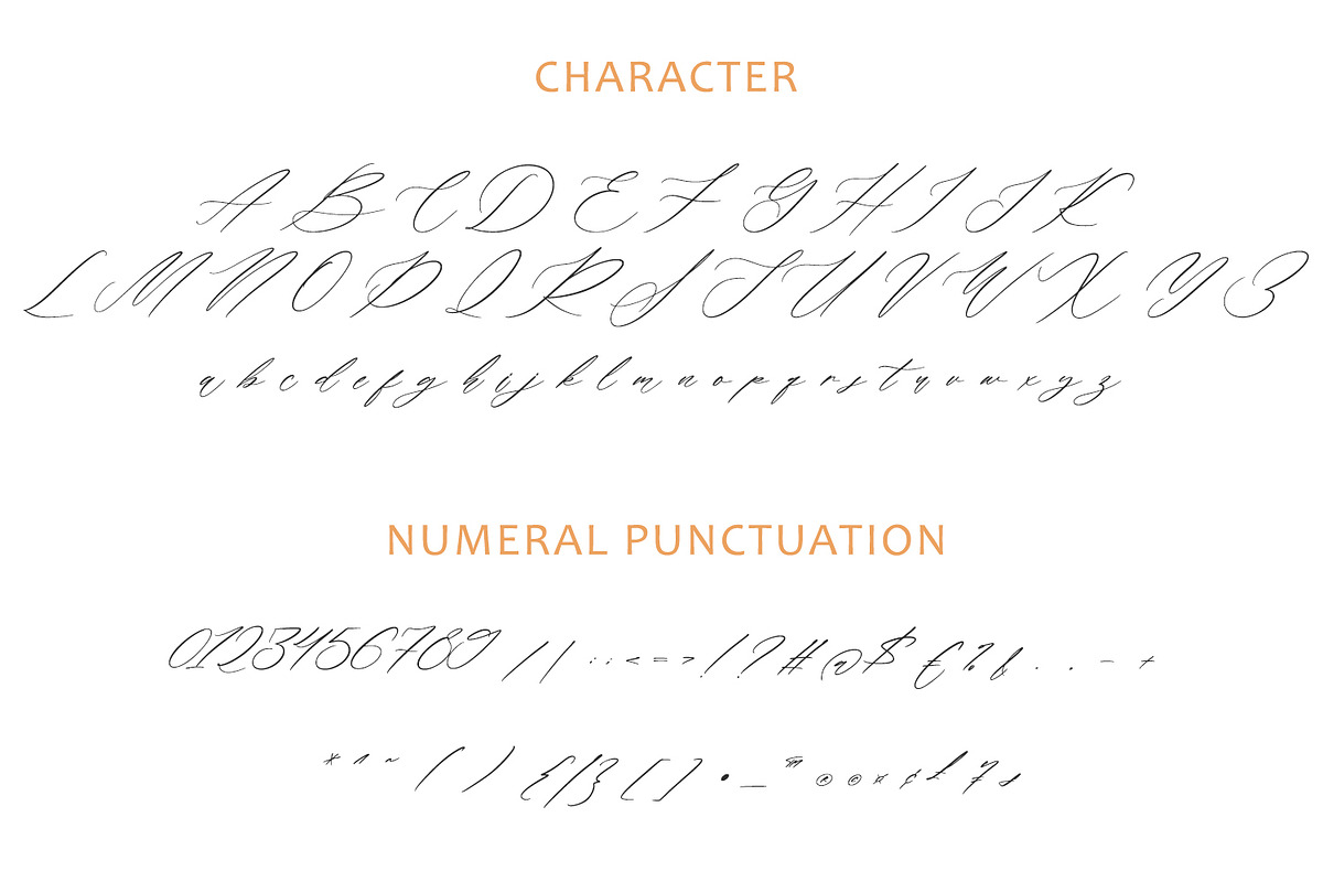 Soirees - Calligraphy Font, a Script Font by Arendxstudio (Photo 7 of 7)