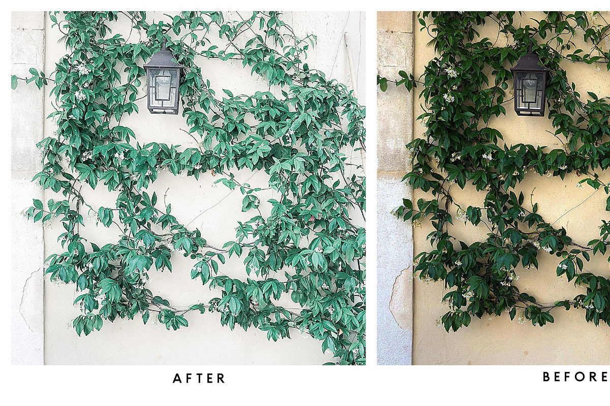 Natural Lightroom Mobile Preset, an Action Add-On by Lux Light (Photo 28 of 28)