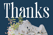 Trangels New Tall Serif Display, a Serif Font by timelesstype.co (Thumbnail 20 of 20)